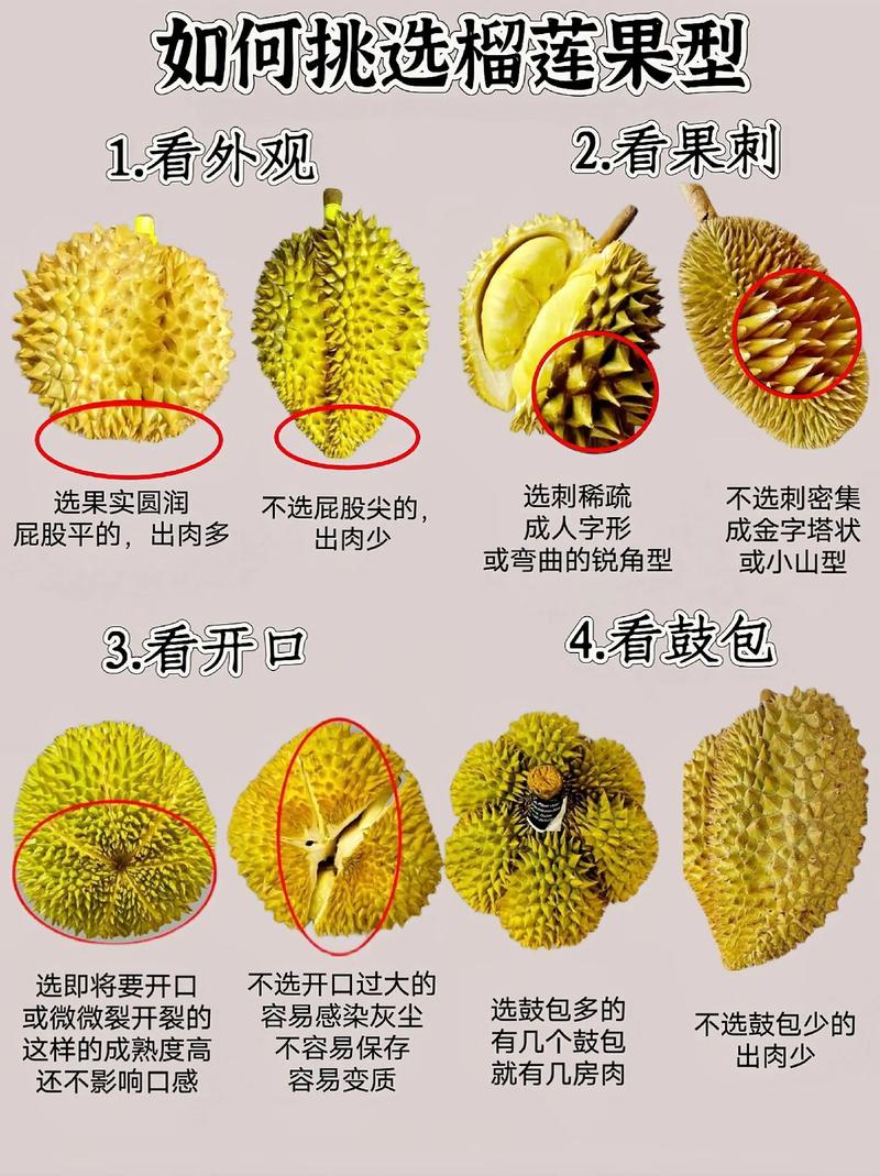 榴莲导航深夜❤福利