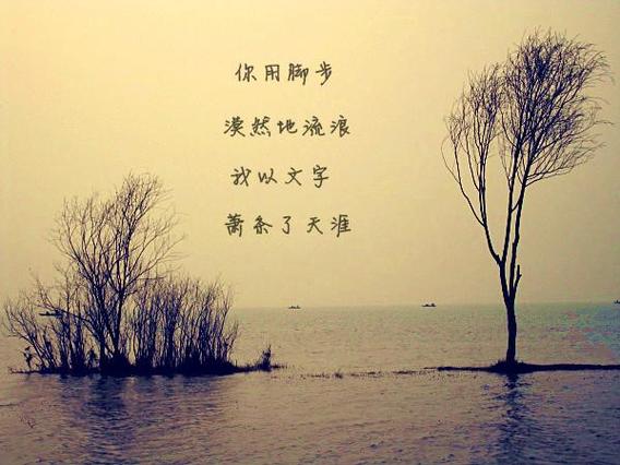 embrace和accept的区别游戏截图