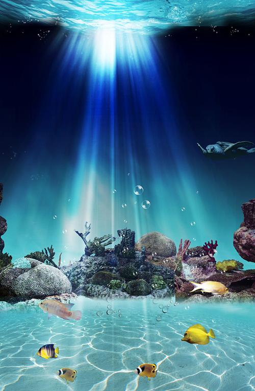 手机水族馆屏保缩略图