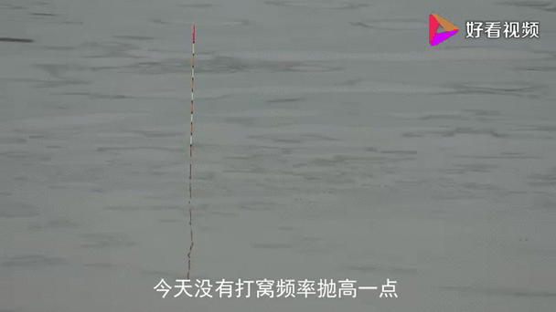 钓鱼看漂游戏官网缩略图