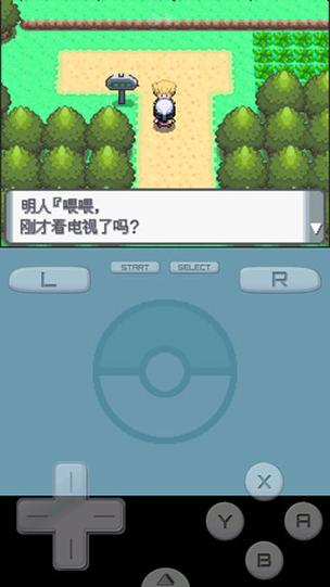 口袋妖怪珍珠钻石下载缩略图