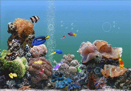 电视水族馆动态屏保缩略图
