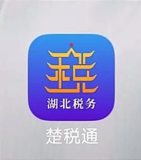 湖北楚税通app官方游戏截图