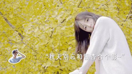 不完美女友小说免费阅读游戏截图