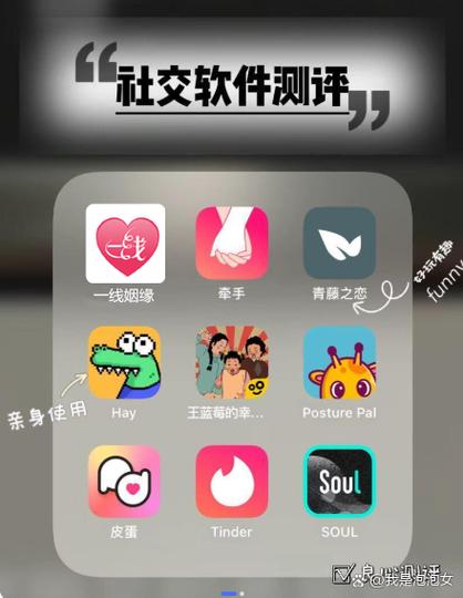 测评app缩略图