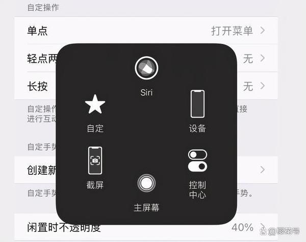 苹果 辅助触控缩略图