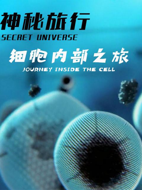 主角从一个细胞开始的小说游戏截图