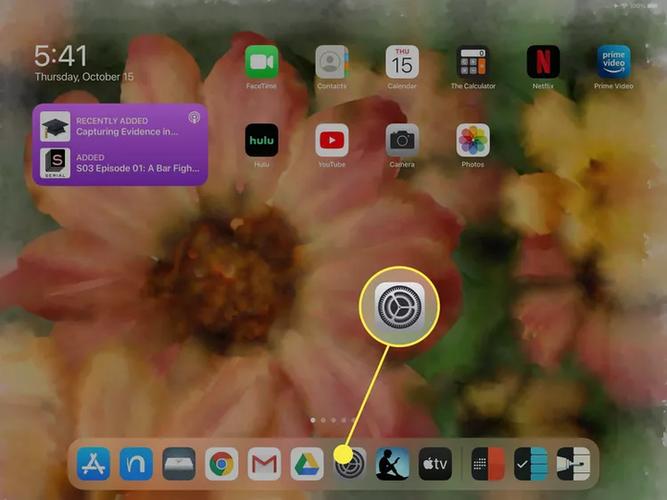 ipad如何缓存电视剧缩略图