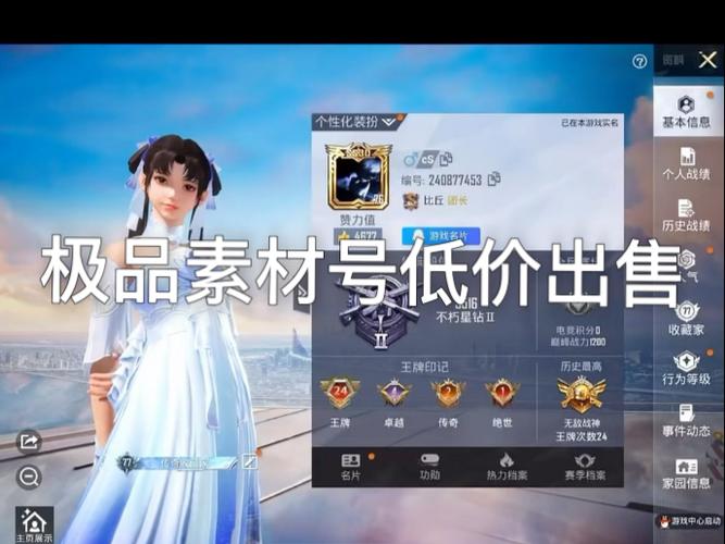 和平精英超级大神的id游戏截图