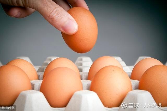 卖鸡蛋赚钱还是卖米赚钱缩略图