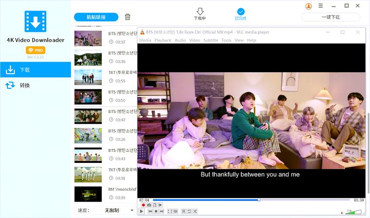 YouTubeVideoDownloader下载缩略图