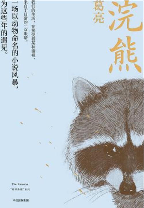 浣熊小说缩略图