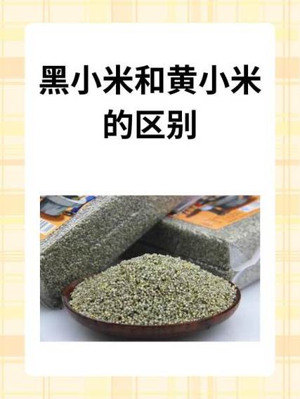 黑小米绿小米和黄小米哪种好缩略图