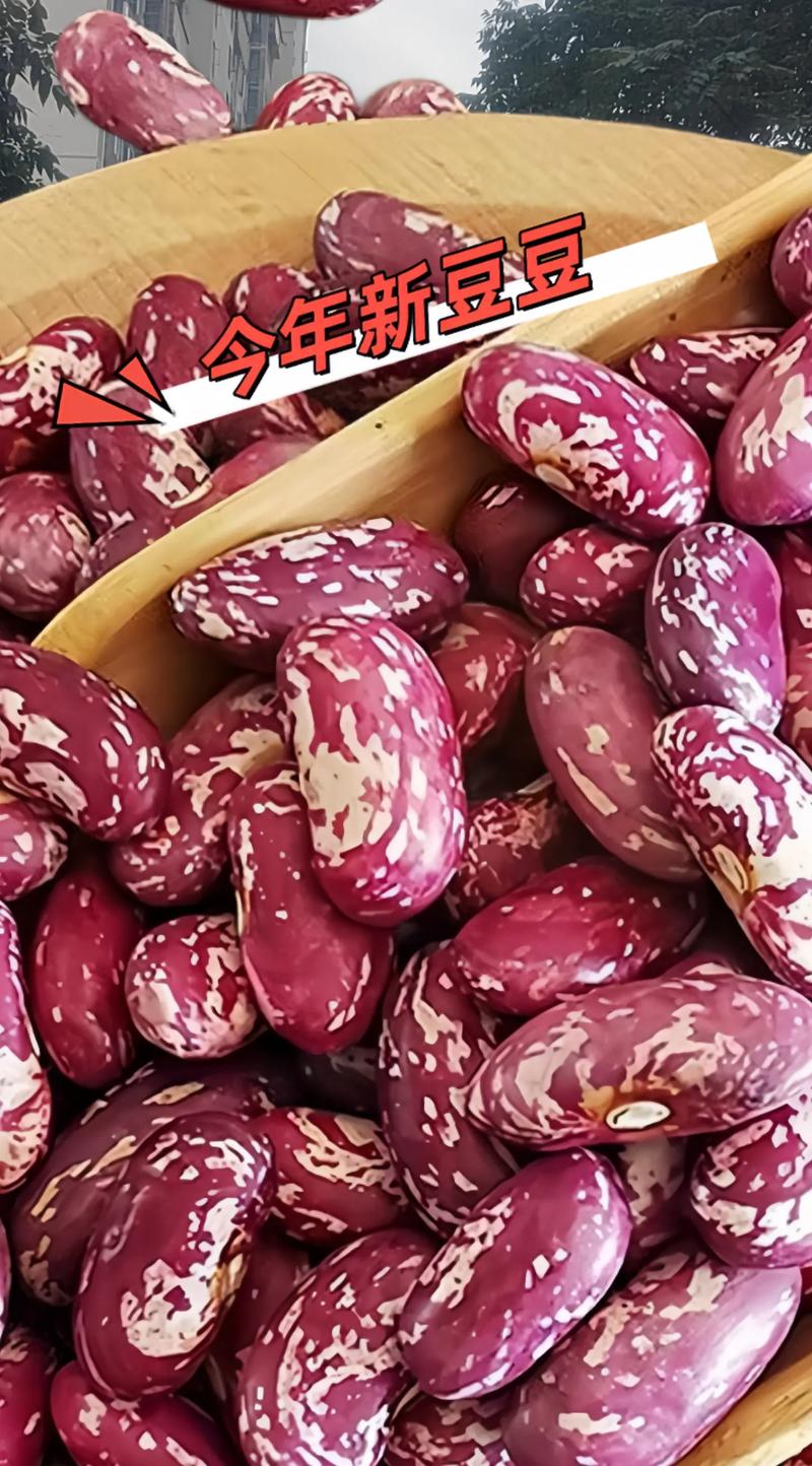 豆豆趣玩安全吗缩略图