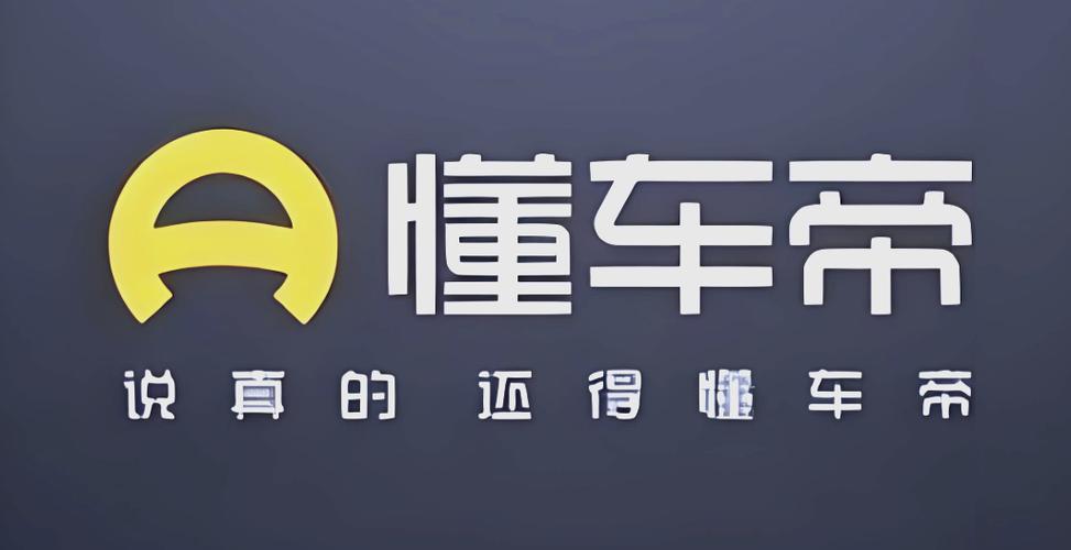 懂车帝汽车官网下载图标