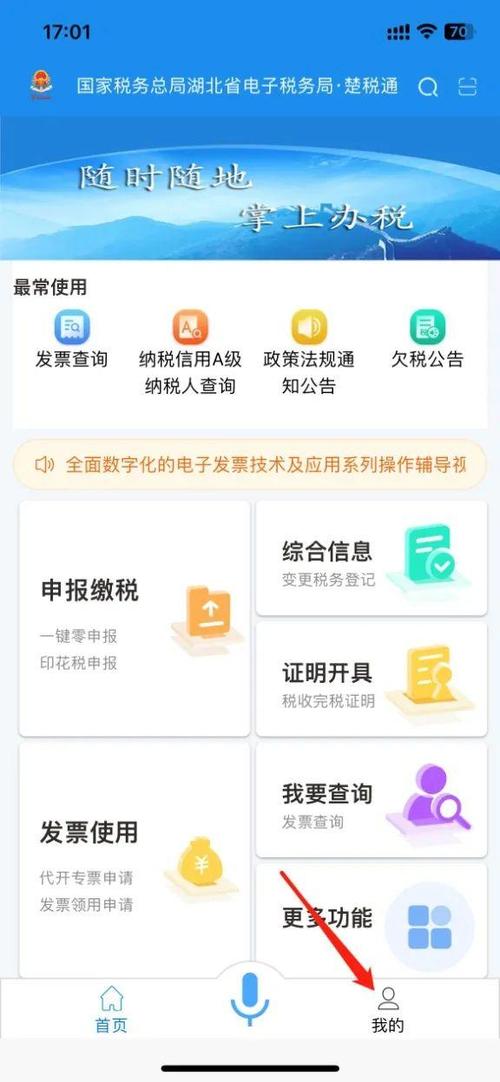 湖北楚税通app缩略图