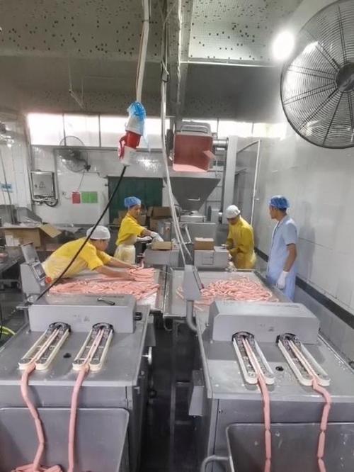 香肠生产线视频缩略图