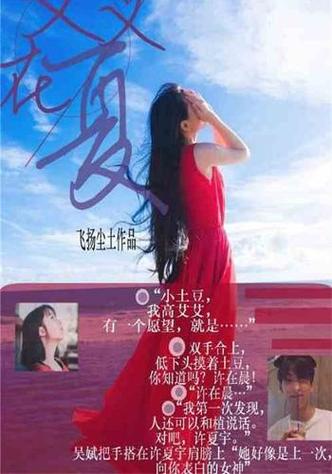 艾艾的小说有哪些游戏截图