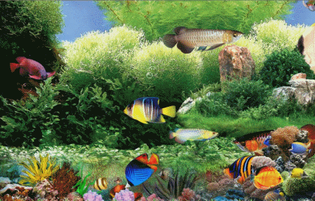水族馆手机动态屏保下载游戏截图