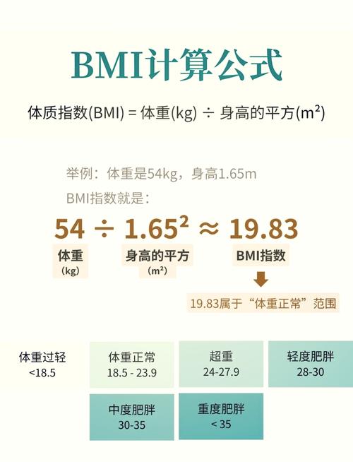 bmi值怎么计算公式游戏截图