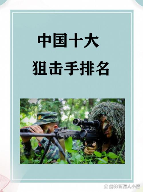 中国十大狙击手游戏截图