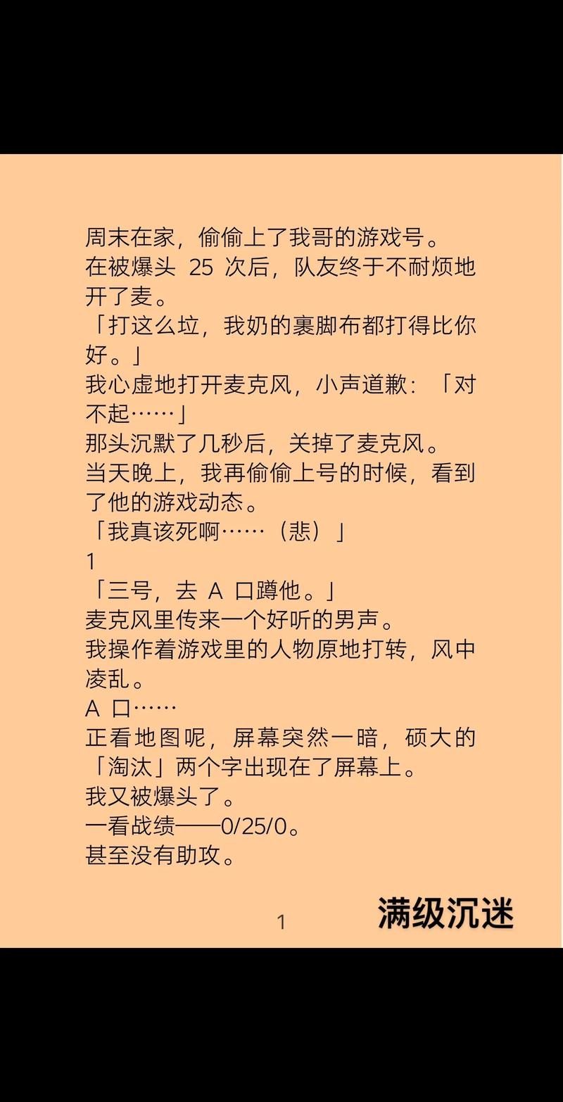眠眠小说