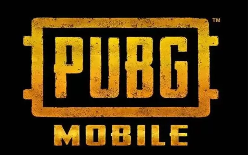轻体pubg下载挂游戏截图