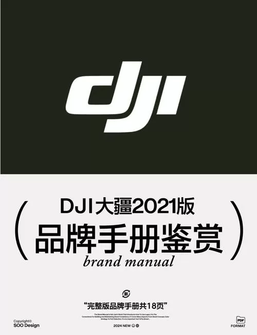 大疆 限飞区游戏截图
