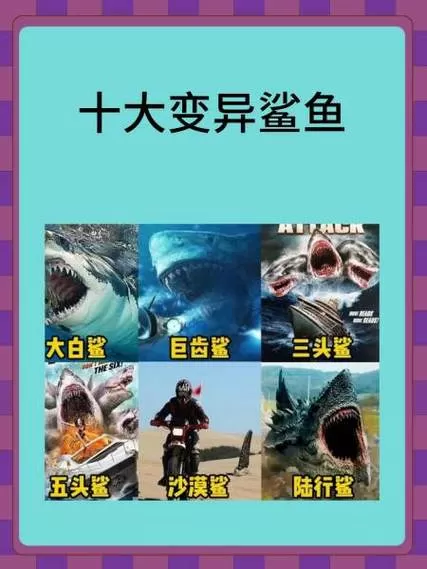 鲨鱼1.1.1破解版最新版本更新内容游戏截图