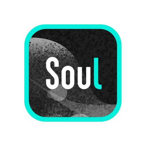 soul免费下载安装游戏截图