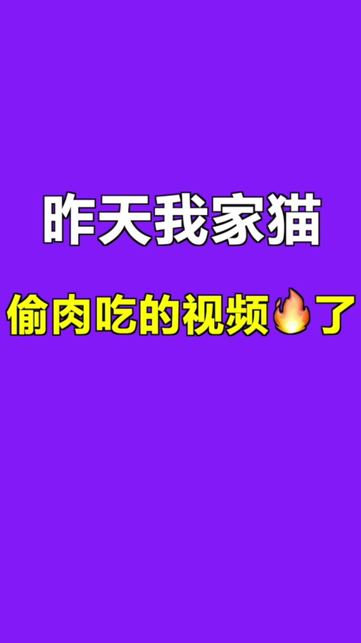 皮皮喵lite官方正版蓝色版无广告免费游戏截图