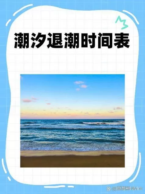 小东海今日退潮时间游戏截图