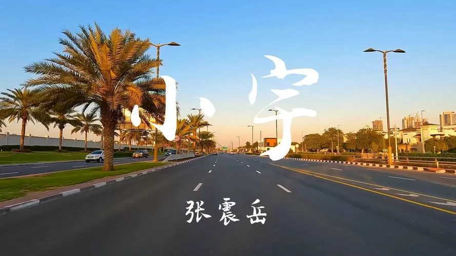 抖音网红小宇游戏截图