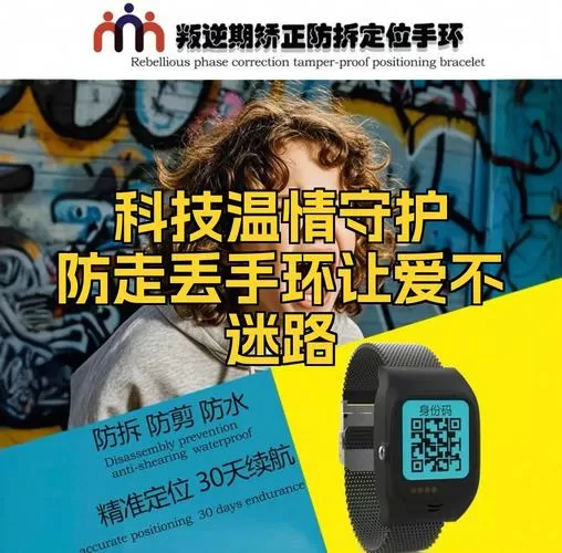 手环丢了上面有付款码怎么办游戏截图