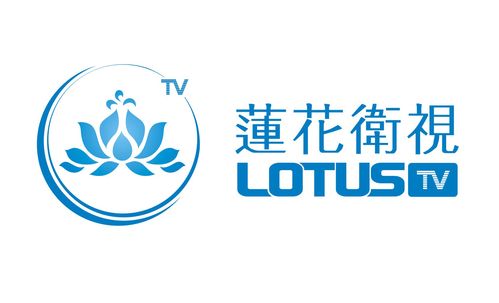 莲花TV视频vi游戏截图