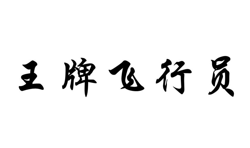 王牌飞行员2022新年版游戏截图