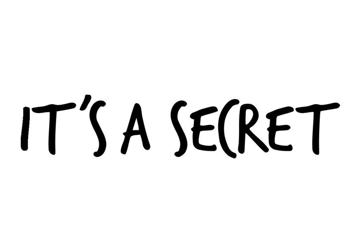 it is a secret截图
