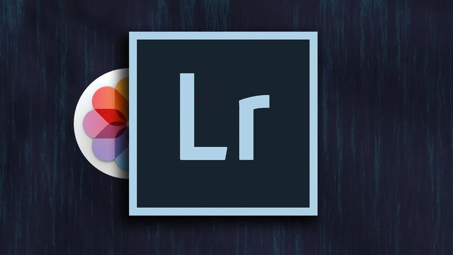 Lightroom2021电脑版2025最新游戏截图