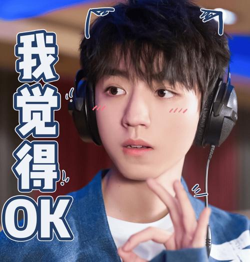 王俊凯表情包tfboys王俊凯表情图片带字缩略图